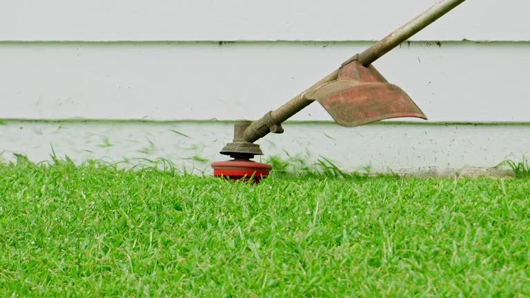 Artificial Turf Installation in Shasta Lake, CA